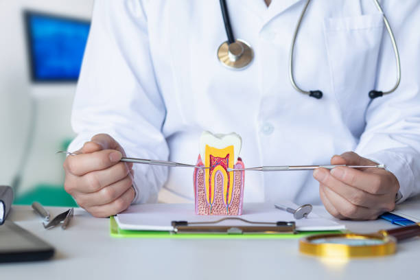 Best Emergency Treatment for Toothache in Ivyland, PA